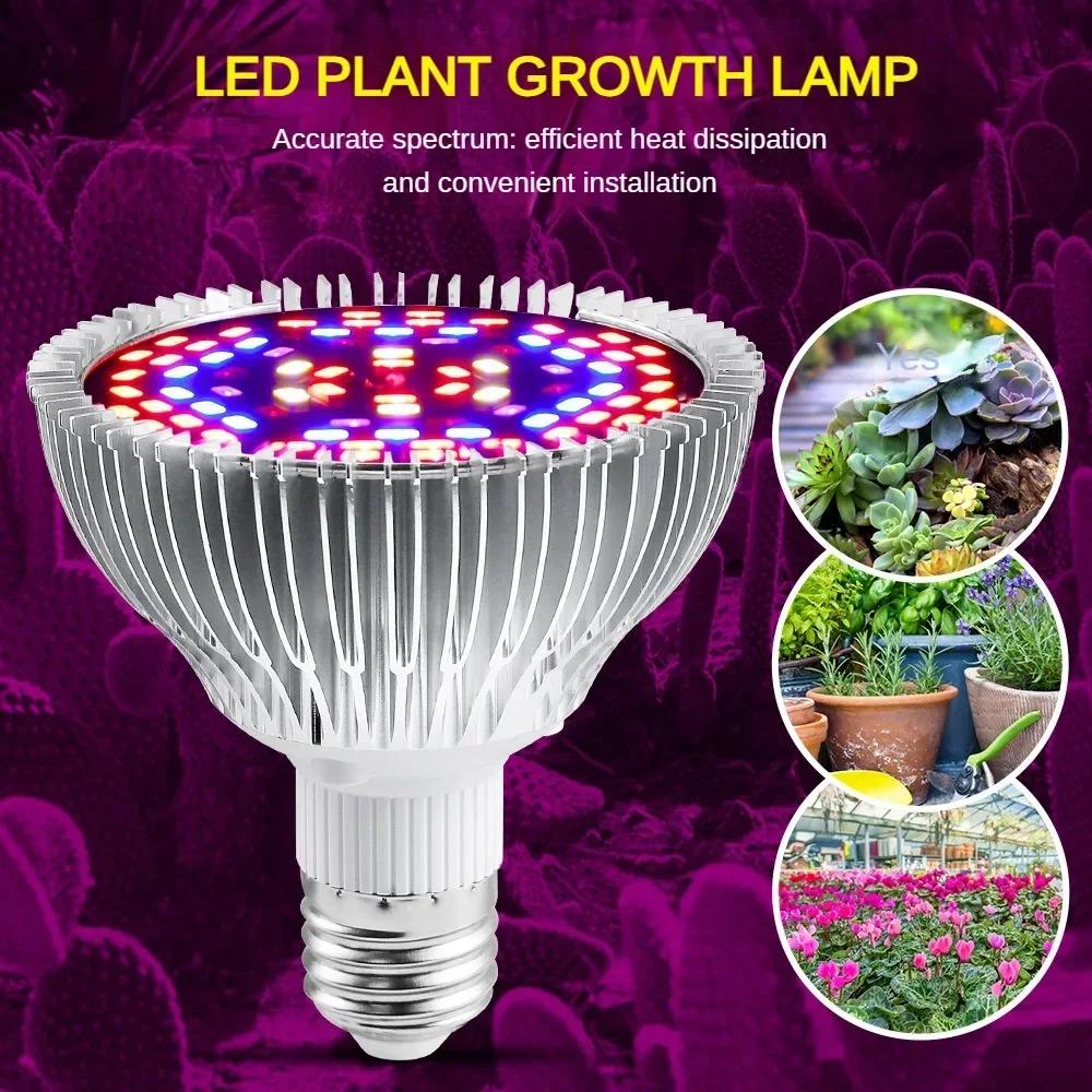LED 식물 성장 램프, 전체 스펙트럼 온실 묘목, 다중 식물 고기 필 라이트 램프, 200 LED